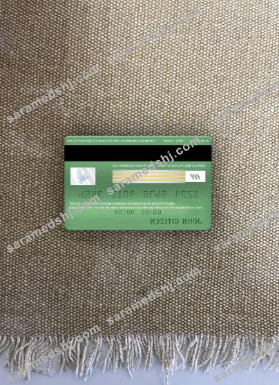 United Kingdom Standard Life bank visa electron card photolook back